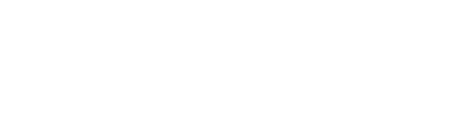 HNL Logo